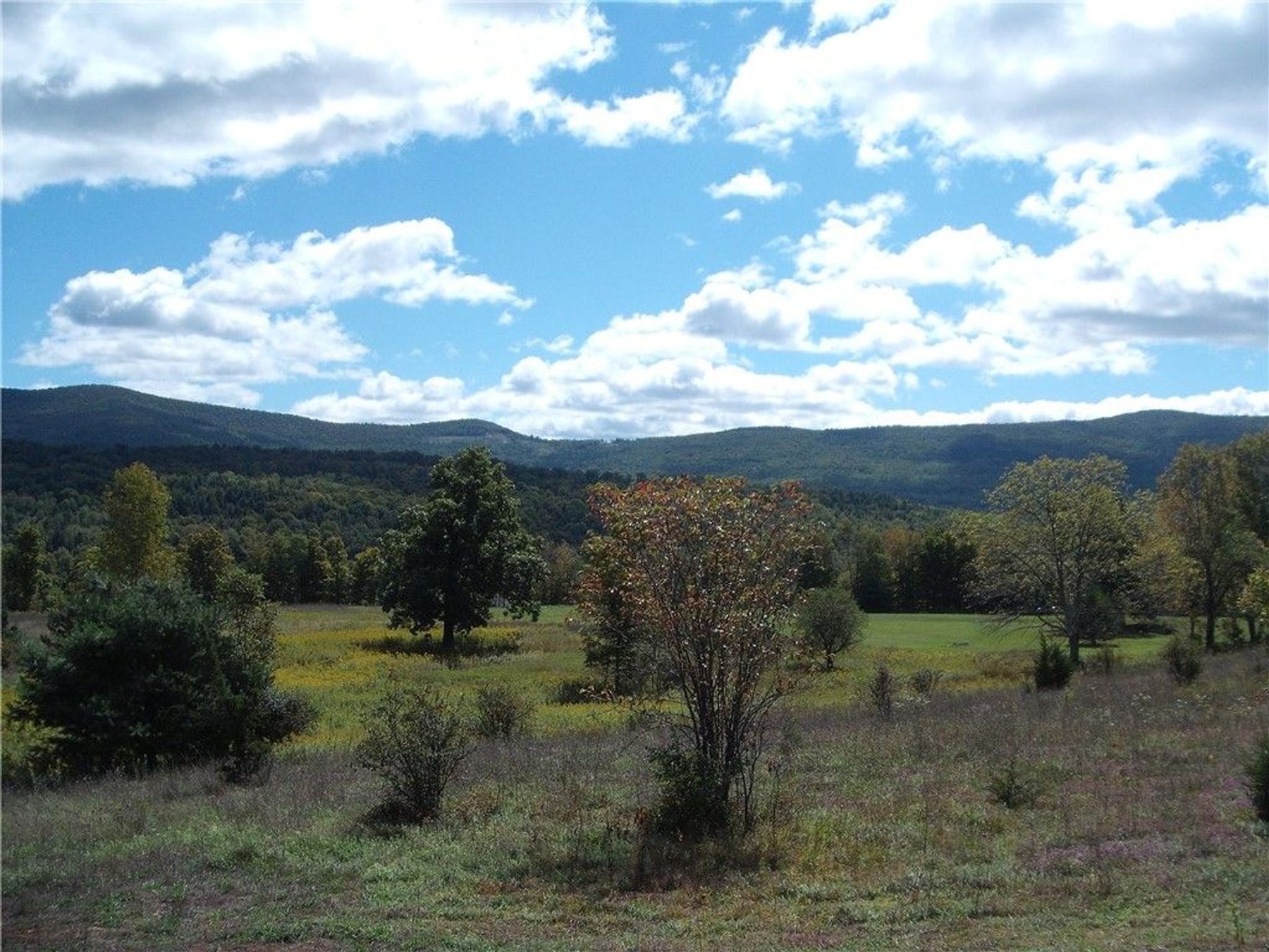 A long westward view across open meadow toward wooded hills in Gilboa, Schoharie County.