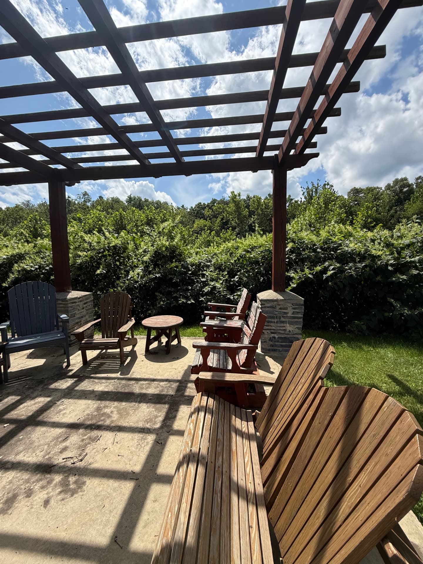 A wooden pergola with Adirondack chairs on the community lawn at golden hour