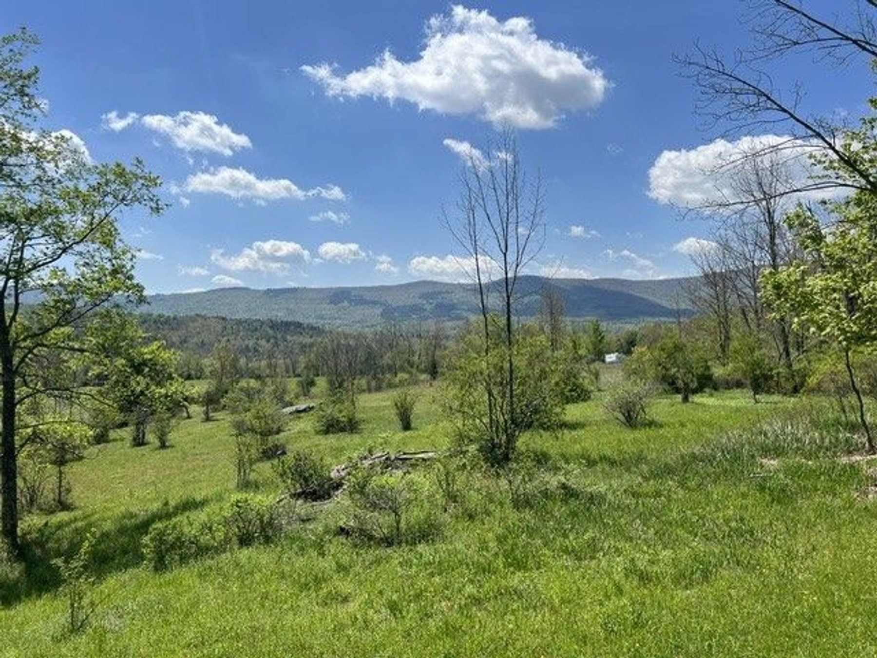 Mountain and meadow land in Schoharie County, New York