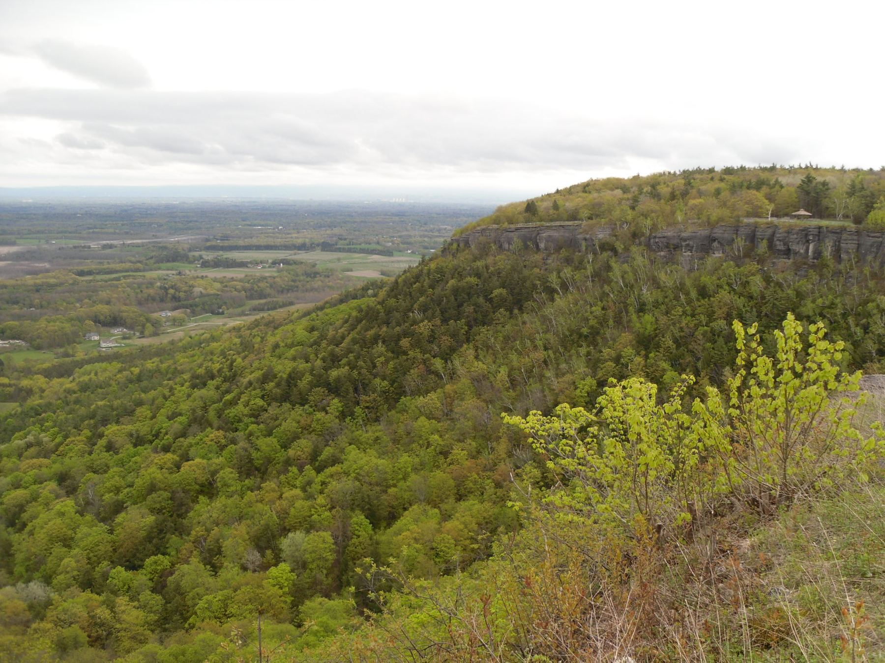 View from the Helderberg escarpment over wooded hillside, fields and farms in the valley below, with a limestone cliff line to the right.