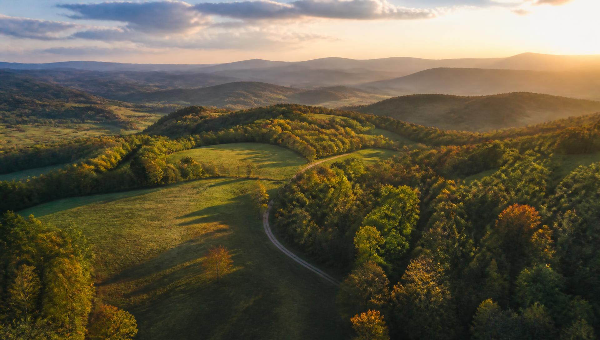Open acreage and tree lines at golden hour from the air