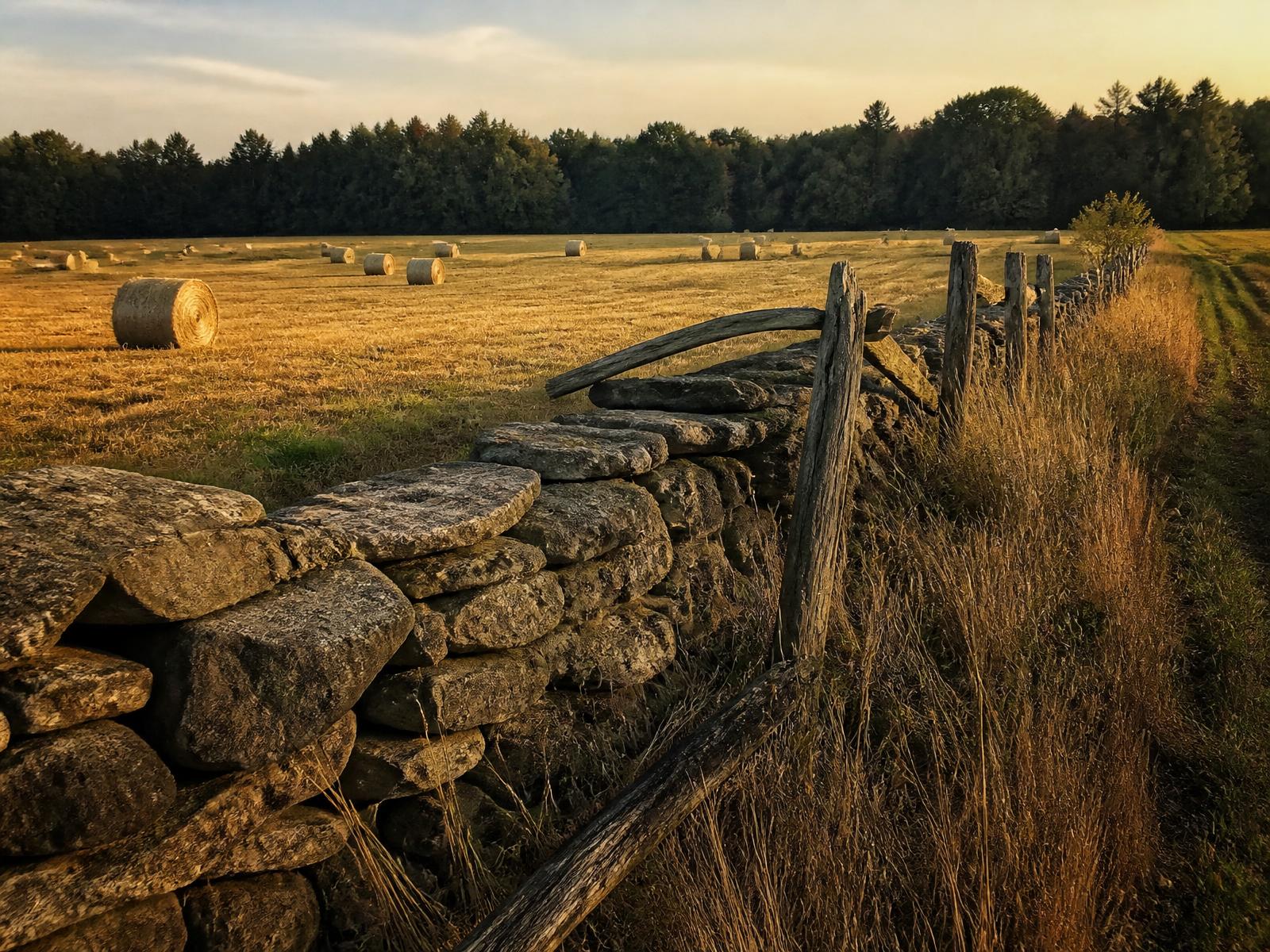 Fieldstone wall along the edge of a rural field